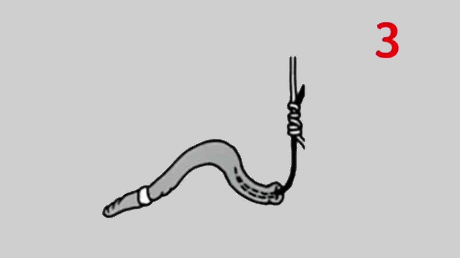 钓鱼蚯蚓挂钩方法有哪些,用蚯蚓钓鱼正确的挂钩方法