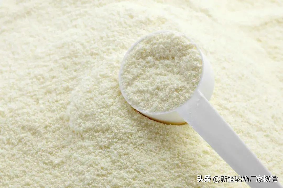 骆驼奶与牛奶的营养差别有多少,骆驼奶和牛奶营养成分区别