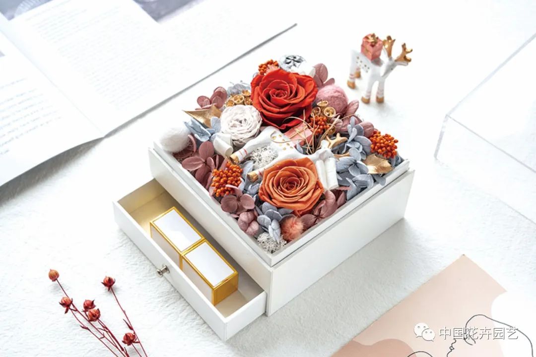 国产永生花或迎来发展新空间|“特别的花给特别的你”专题