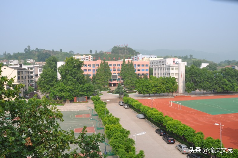 秋虫读后感50个字三年级,秋虫朗读