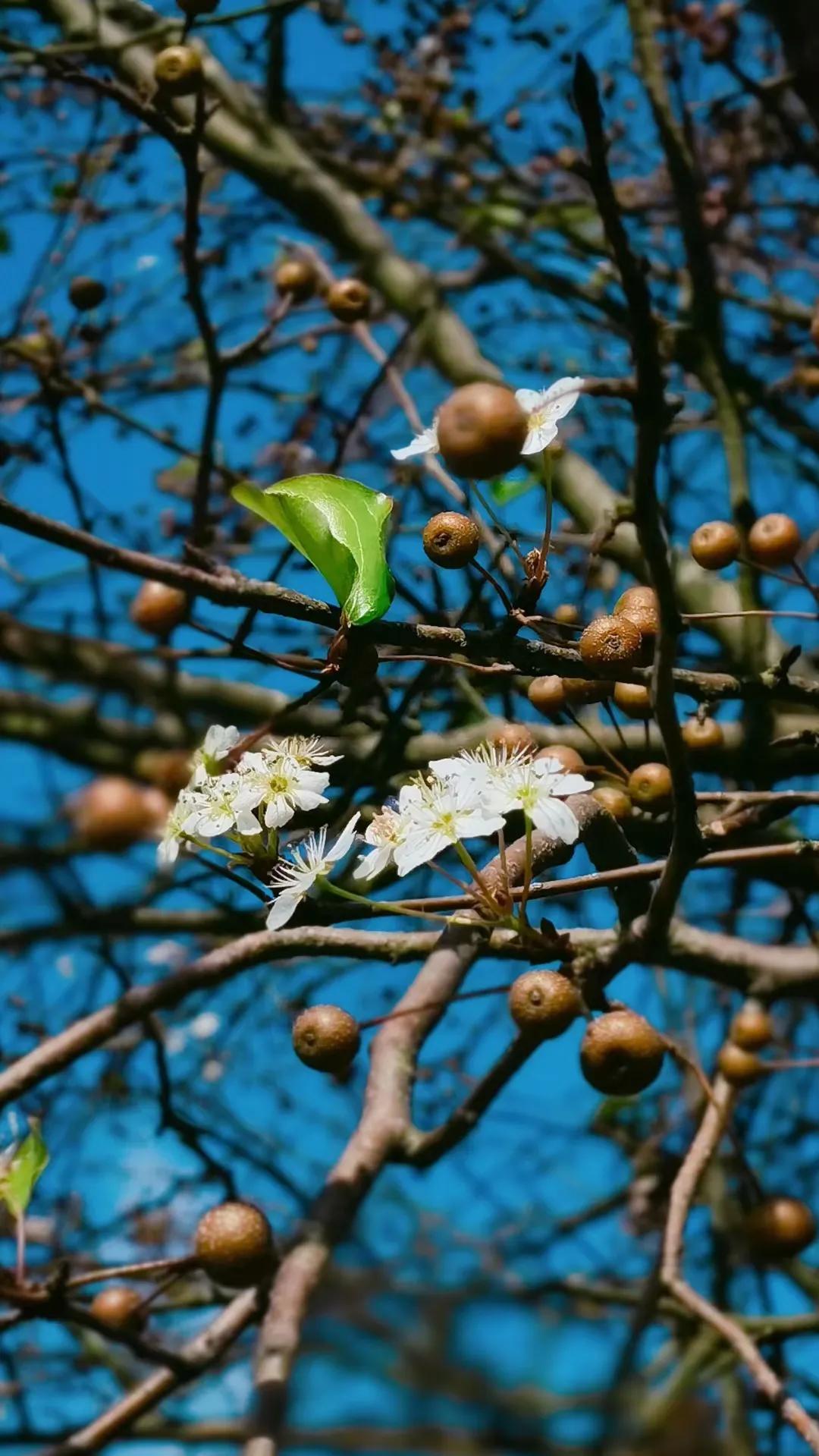 下辈子只想做条只有七秒记忆的鱼,愿做一条只有七秒记忆的鱼
