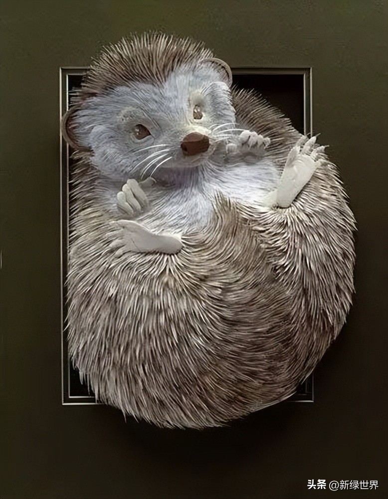 纸艺作品绘画,千变万化的纸艺术作品