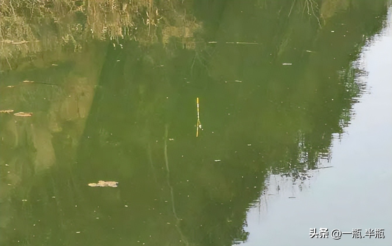 免调漂自动找底鱼漂原理,自动调漂自动找底原理图解