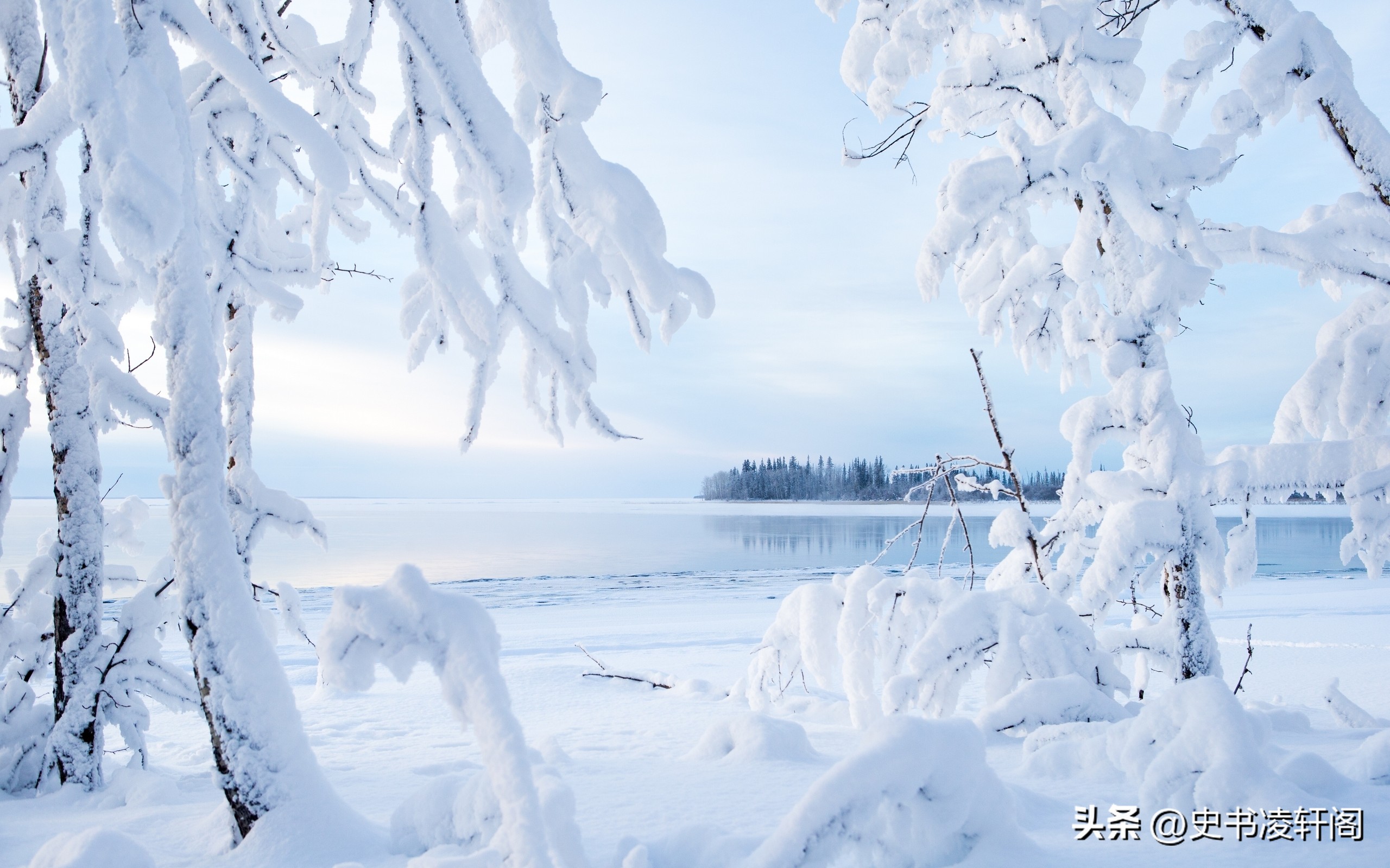 有关雪的古诗词及名句,描写雪的诗不带雪字最简单的诗句