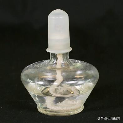 动手做一枚“叶脉书签”吧，好看又实用！【春节宅家手工】