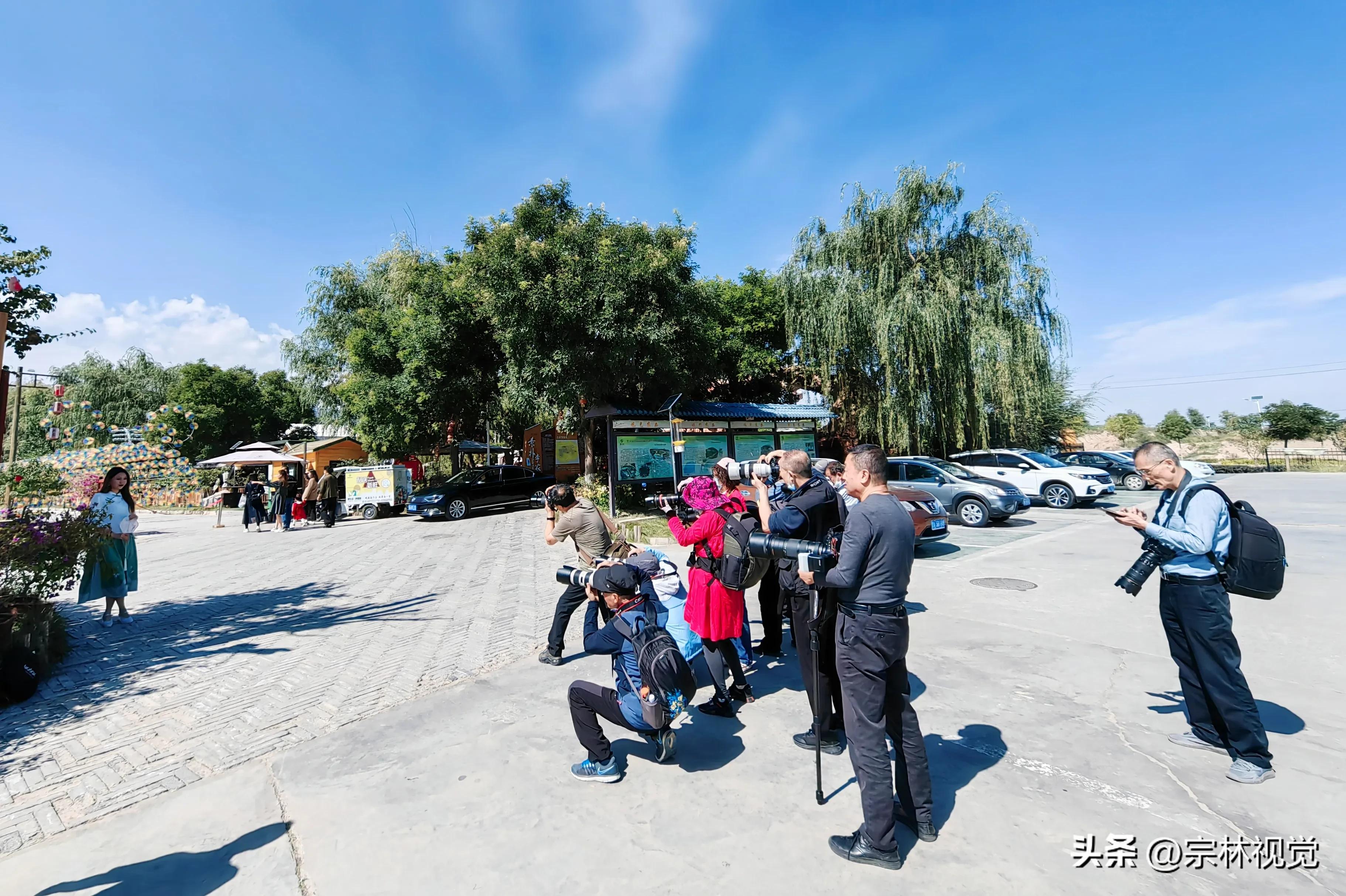 蓝天白云花海摄影高清图,蓝天白云花田滤镜搭配