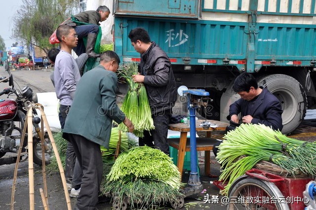 新型家庭农场的致富路,家庭农场的发展红利又将迎来高潮
