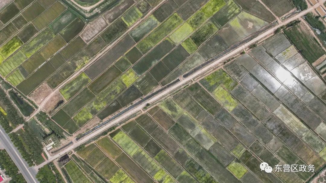 不负好时光田间地头助农忙,不负好时光春耕图