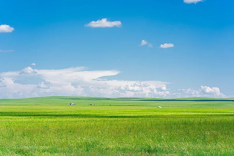 我国必去打卡的草原,呼伦贝尔值得去的草原