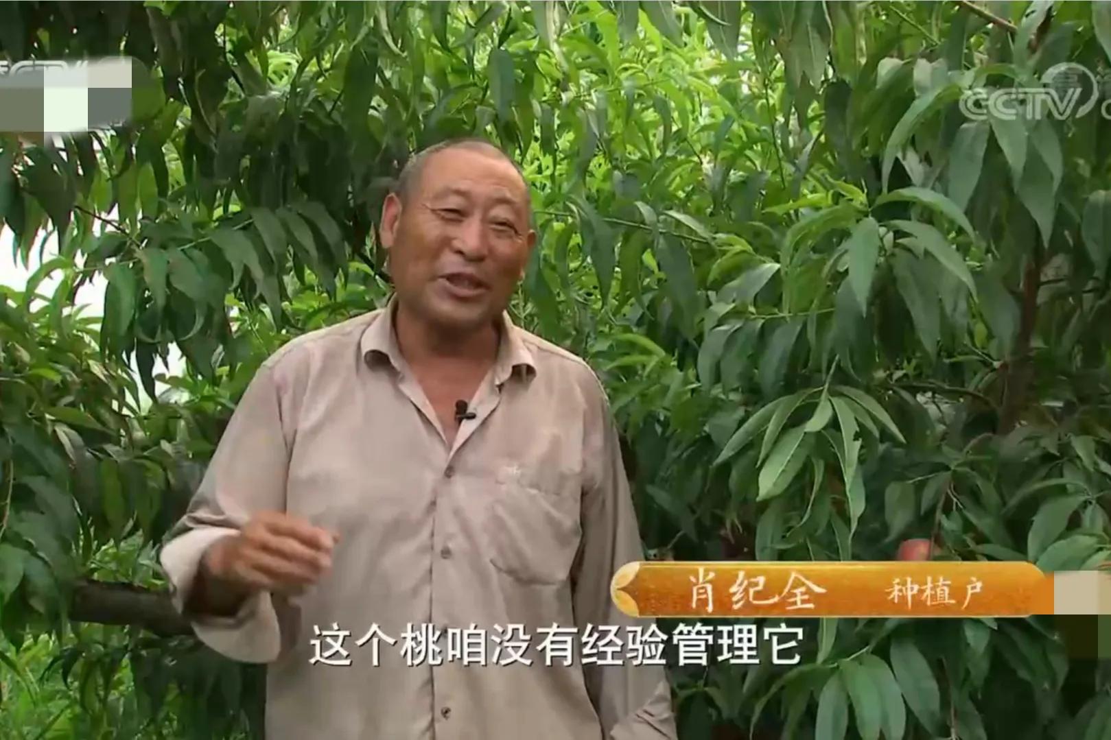 山东女孩承包5600亩地,女子承包500亩地种红薯被村民偷挖