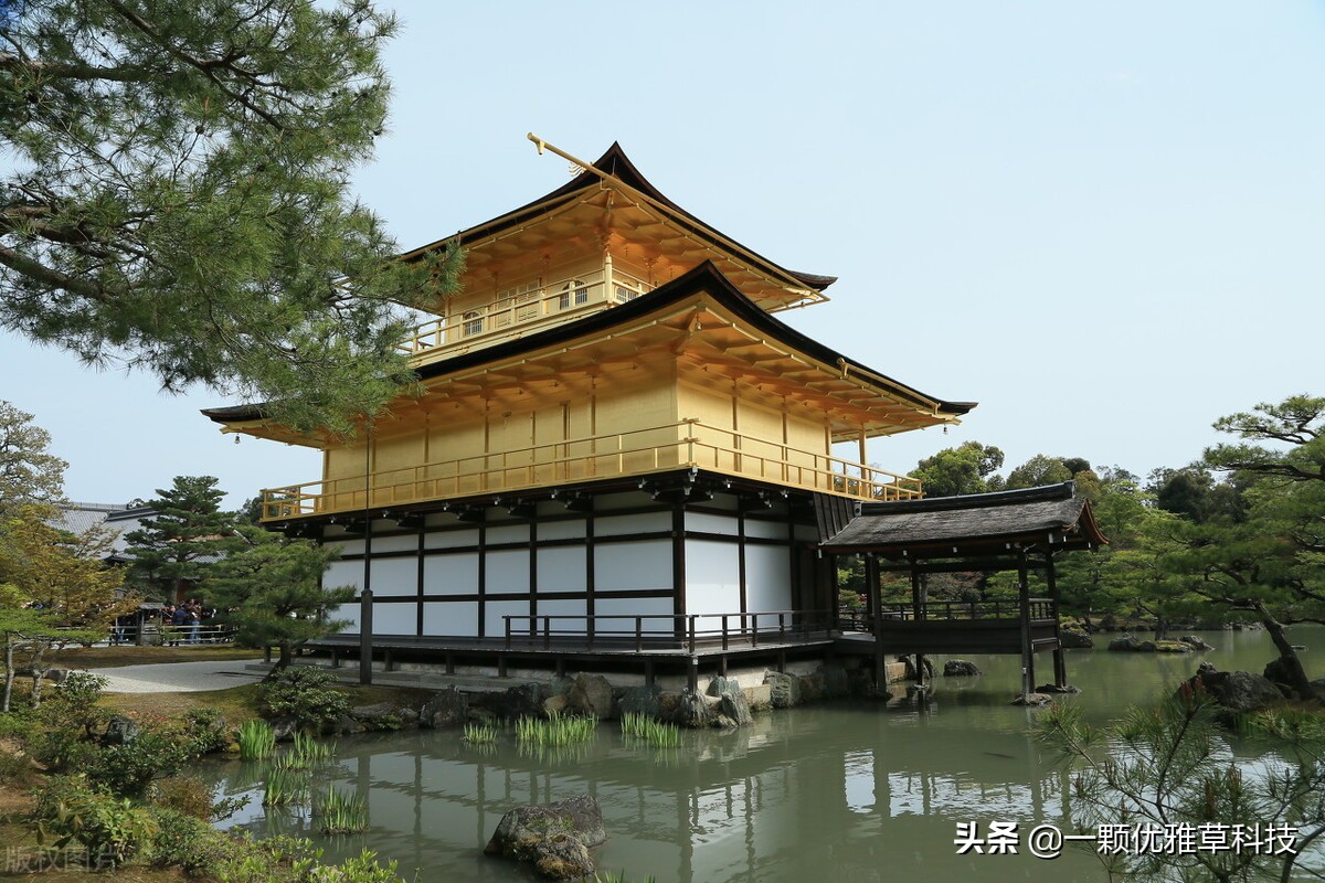 中国程序员在日本的视频,国内程序员去日本可以做什么