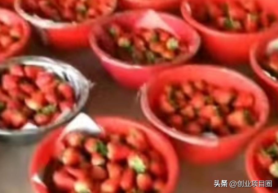 农村人的致富之路,种植一次,可以卖2-3个月,1次月入8万!