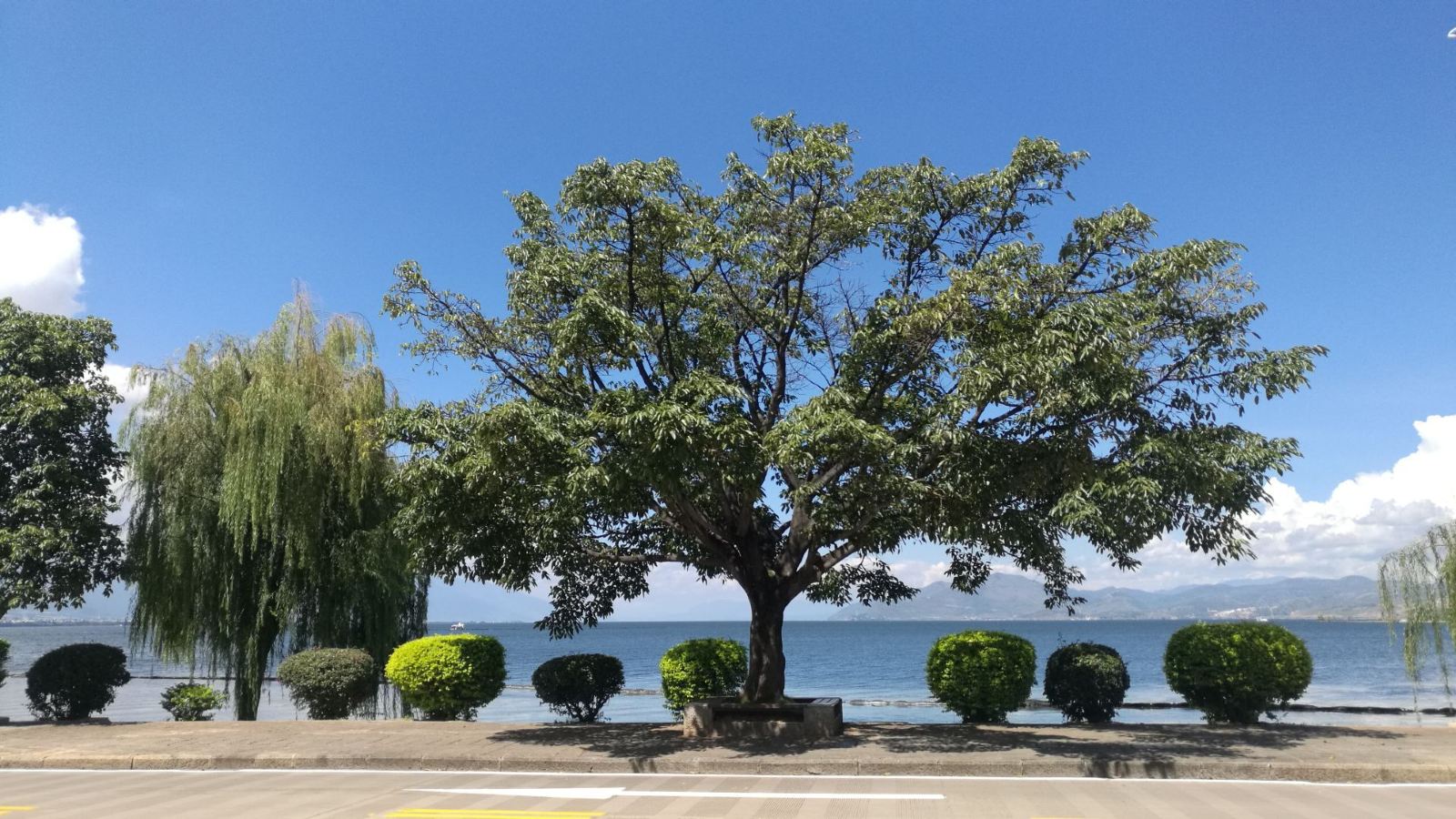 云南旅游景点主要有哪些景区,云南可以玩的旅游景点排名前十大