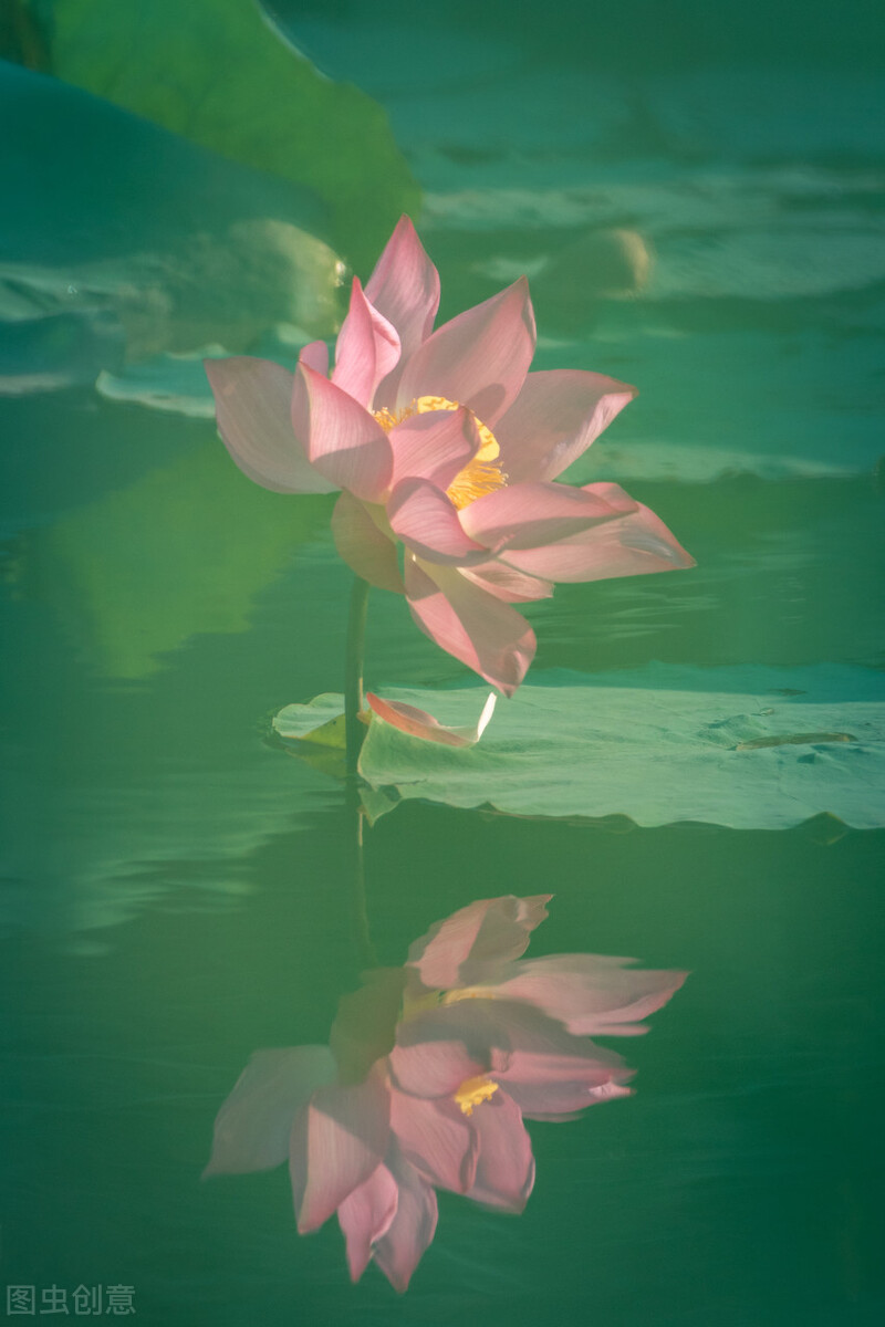 十二首诗词中的“佳人”，梅、月、荷、山，“风景四佳人”