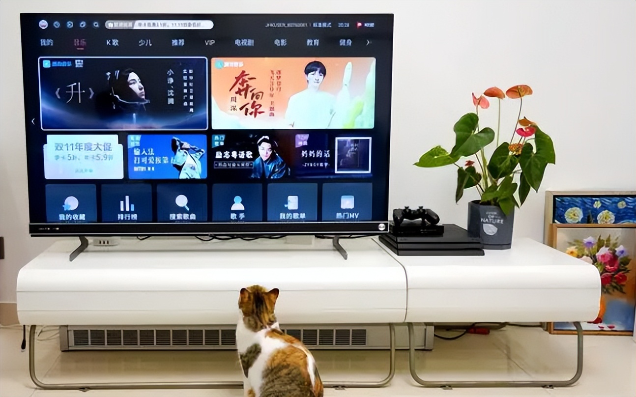 装修哥教你选材,装修哥讲课视频