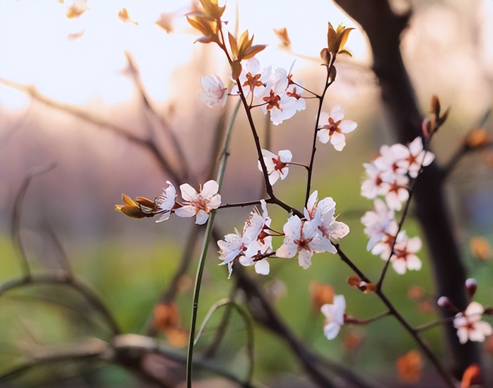 最美心头一亮时初中满分作文,满分作文友谊让生活更美好