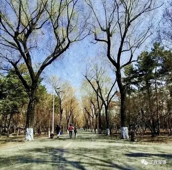 哈尔滨消失的老字号糕点,哈尔滨消失的俄罗斯老店