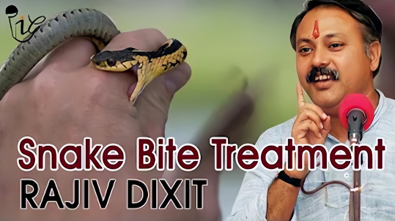 毒蛇的蛇毒是怎样来的,如何用蛇毒制药