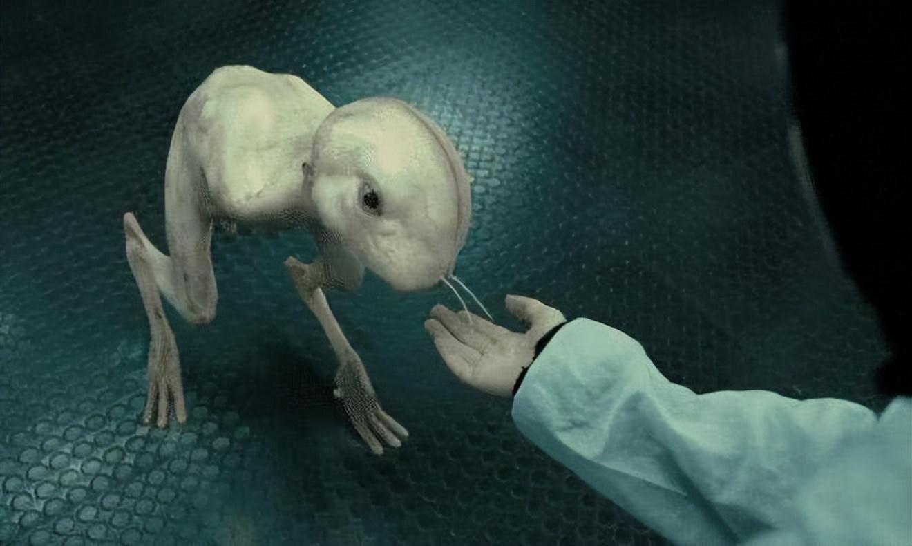 人兽真能杂交？日本批准“人兽杂交嵌合体试验”，福音还是灾难？