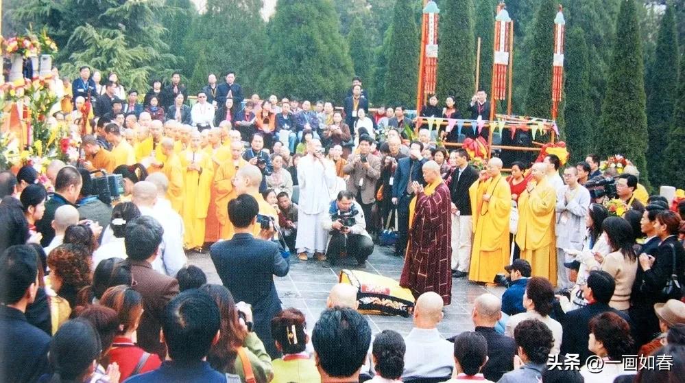 舒曼|无尽禅茶意,拈花一笑中