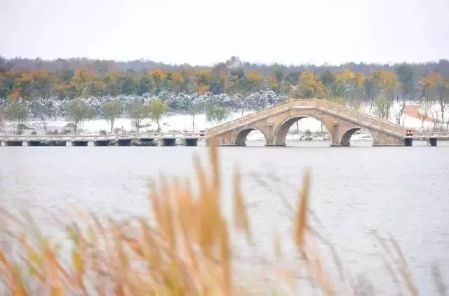 江苏的冷门景点排名,江苏比较冷门但是好玩的地方