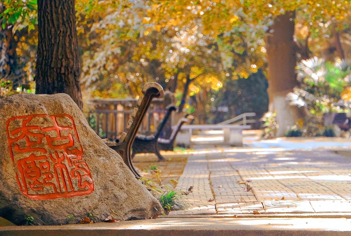 浙江农林大学就业如何？就业风暴下的避风塘