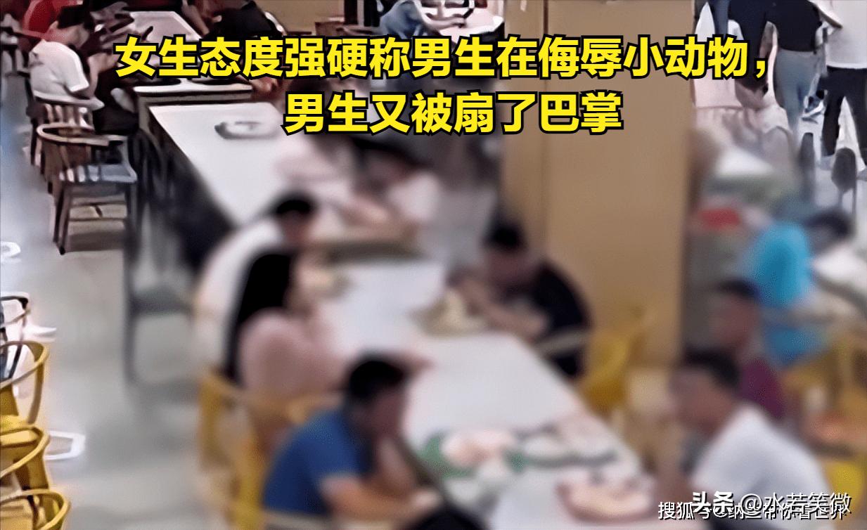 为什么猫咪拉屎这么臭啊,猫咪口臭和拉屎都很臭