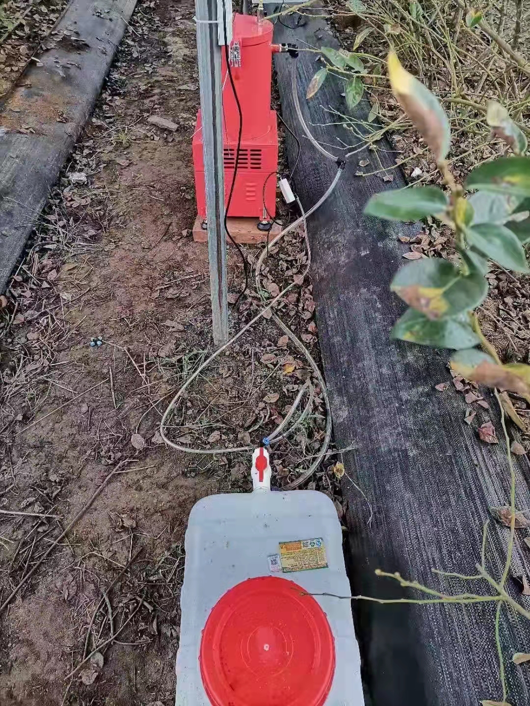 600米长大棚占地7亩猜一年挣多少钱？大叔运蔬菜棚内开火车，啥样