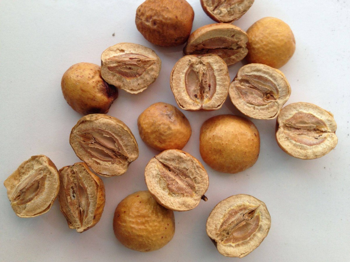 治疗湿热型胆囊炎的药,疏肝利胆治疗肝胆湿热中药方