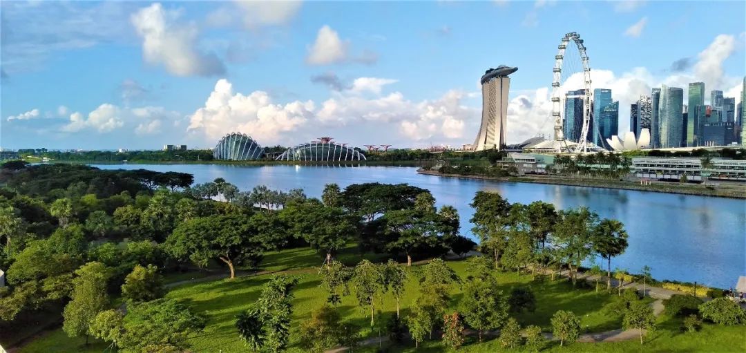 新加坡国庆烟花观看,新加坡国庆节空军跳伞