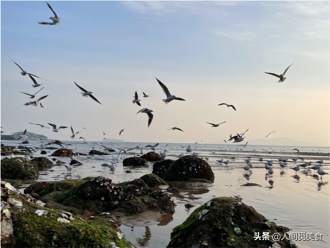 山东婆婆花1h做的菜，儿媳妇一口不吃直接扔了，网友：我也不敢吃