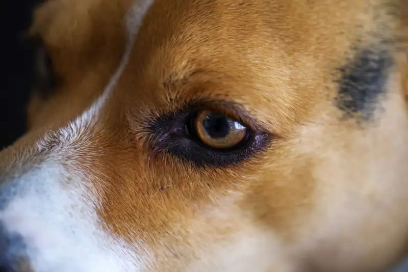 宾得新款16-50评测,宾得镜头18-135样片测评