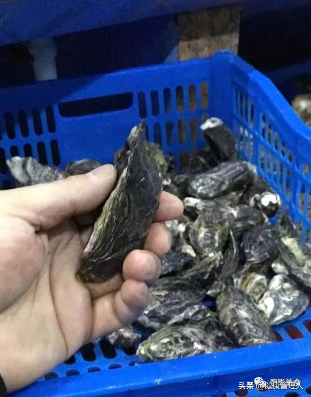 世界顶级海鲜食材,世界顶级的海鲜视频