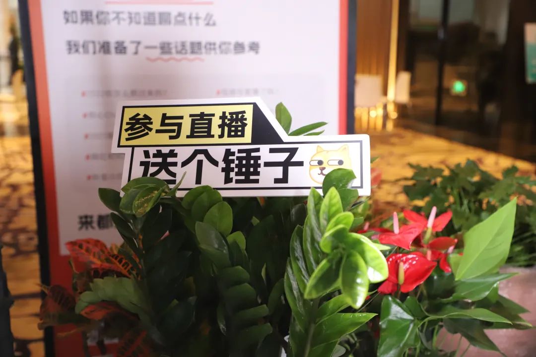 中国新媒体接力直播,全国新媒体接力