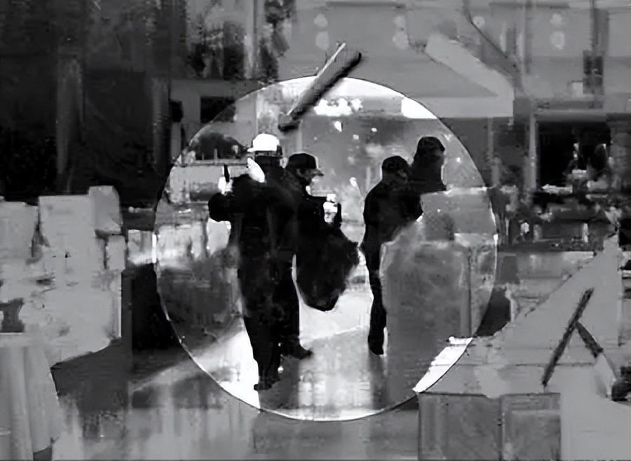 中国十大悍匪张君纪实完整版,第一悍匪张君落网始末