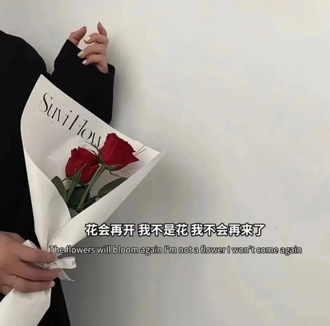 今日签收个性文字背景图,今日份高清背景图