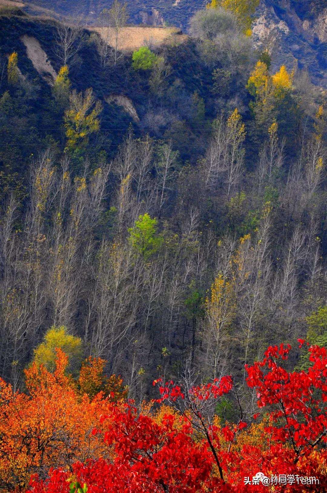 宝藏小众城市榆林,边陲古城榆林