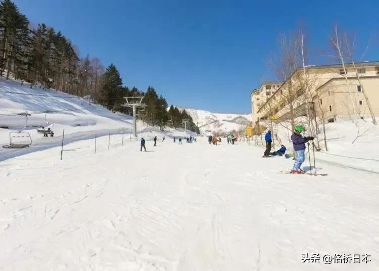 在最浪漫的时节抵达日本会变得幸运呢