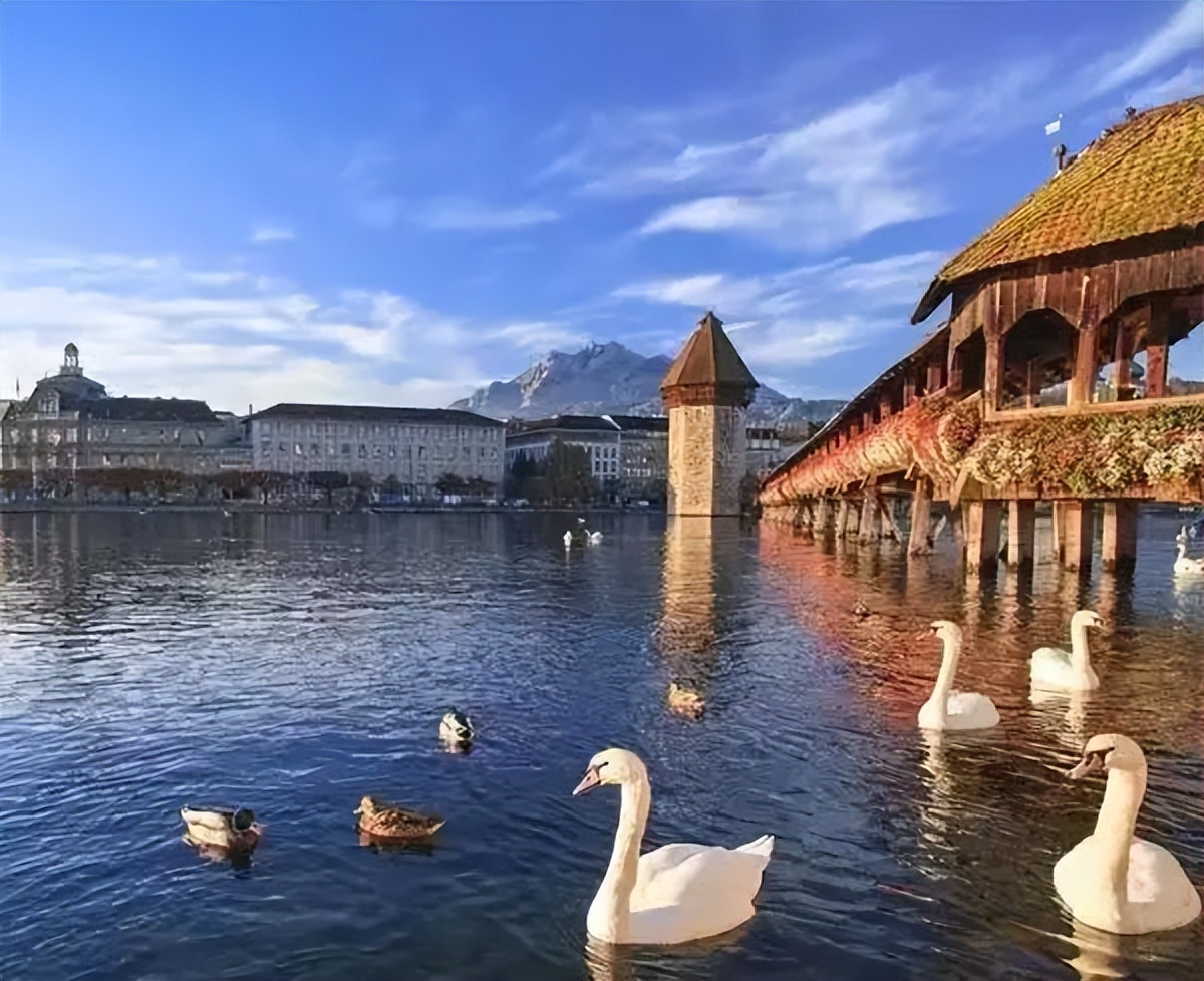 我与书的不解情缘原创,瑞士的一切令我难忘