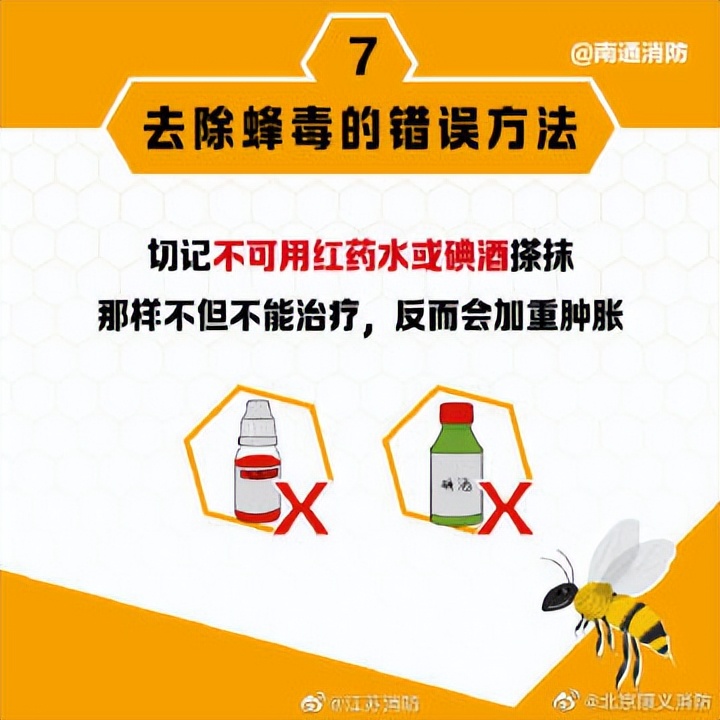 遇到马蜂袭击的视频,被马蜂袭击最快的时间