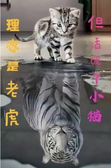 宁西高铁河南十四五高铁规划,宁西高铁纳入十四五规划了吗