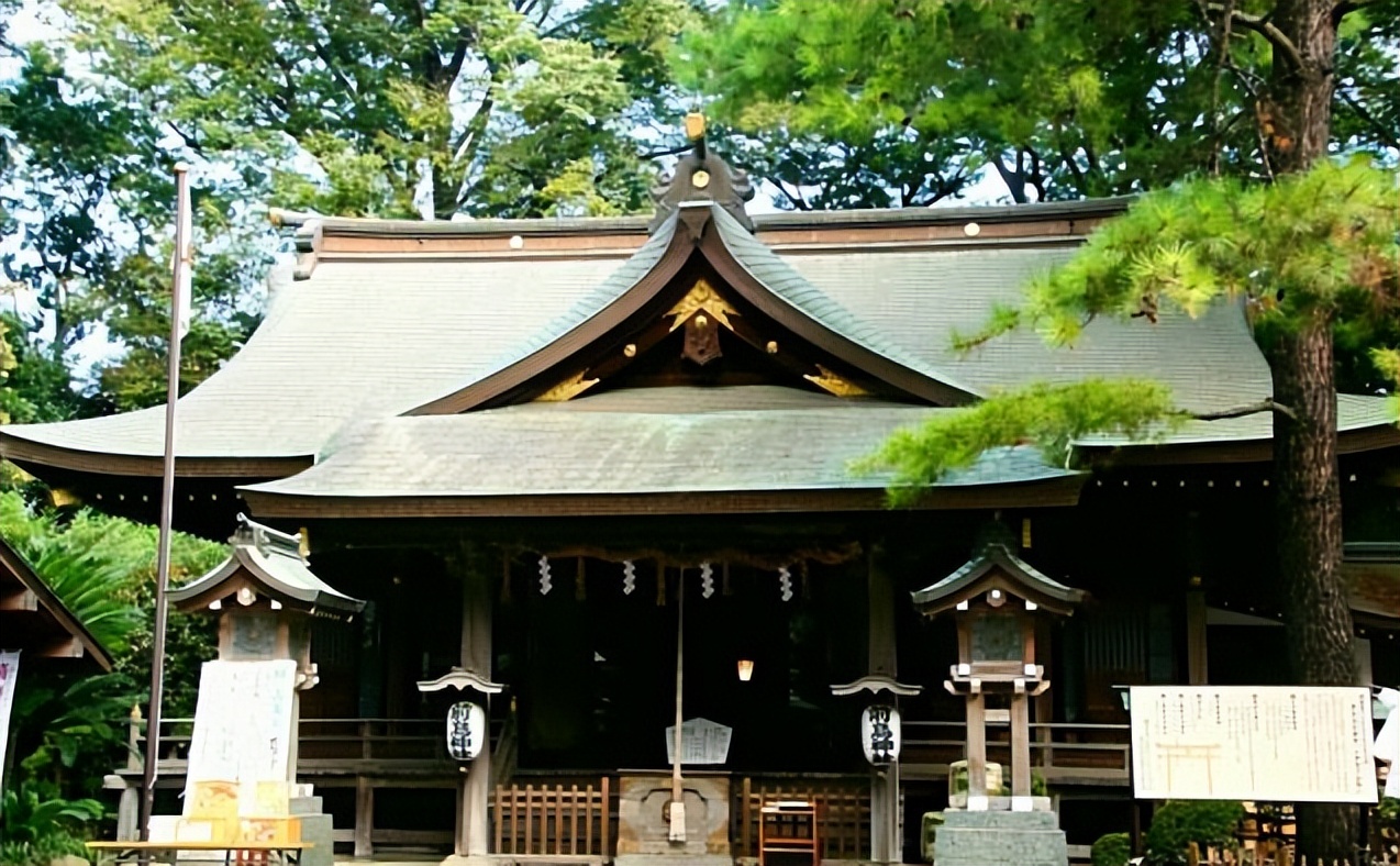 菊次郎的夏天电影表达了什么意义,菊次郎的夏天电影简单讲解