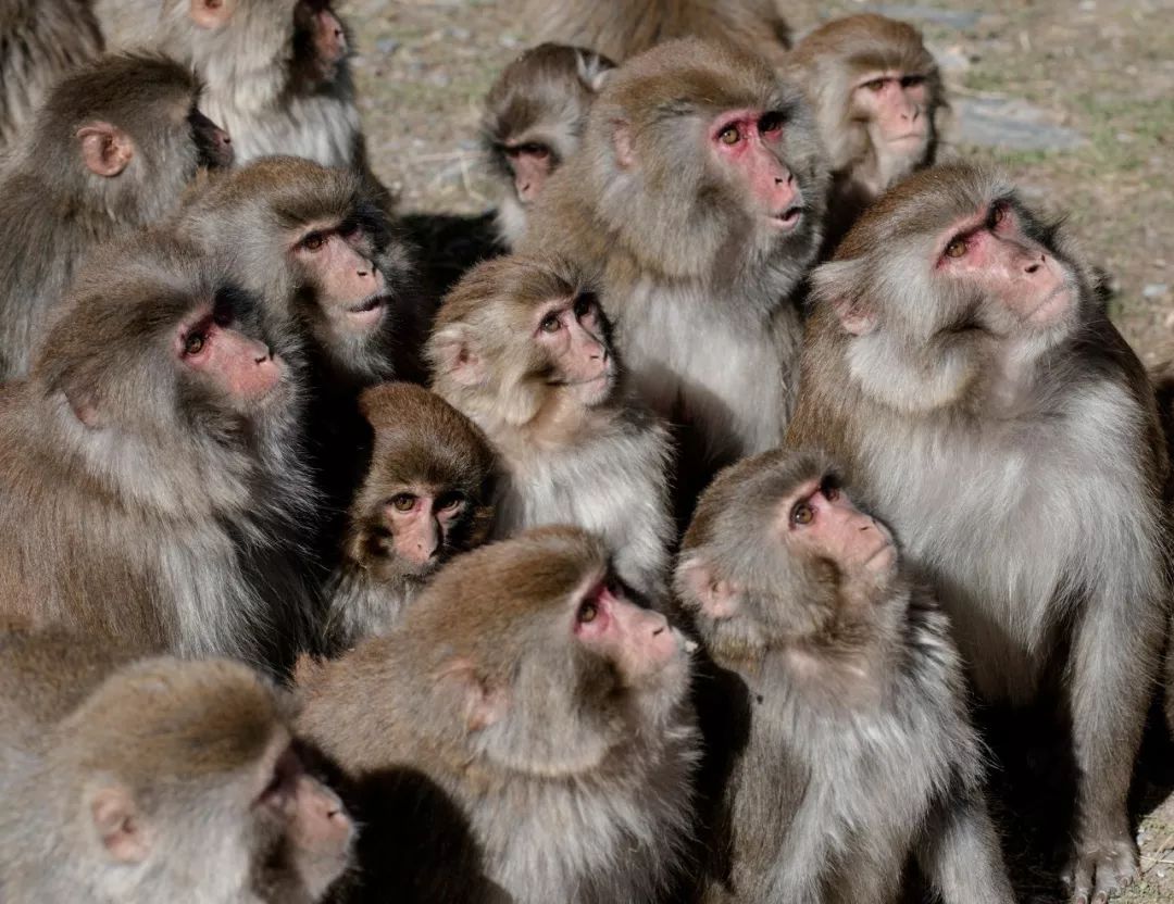 川西阿坝旅游详细攻略地图,川西阿坝旅游攻略三天