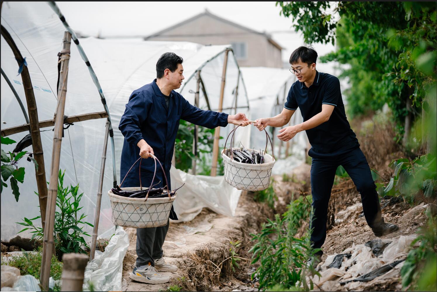 台州银行小微金融模式,小大之辩的理解
