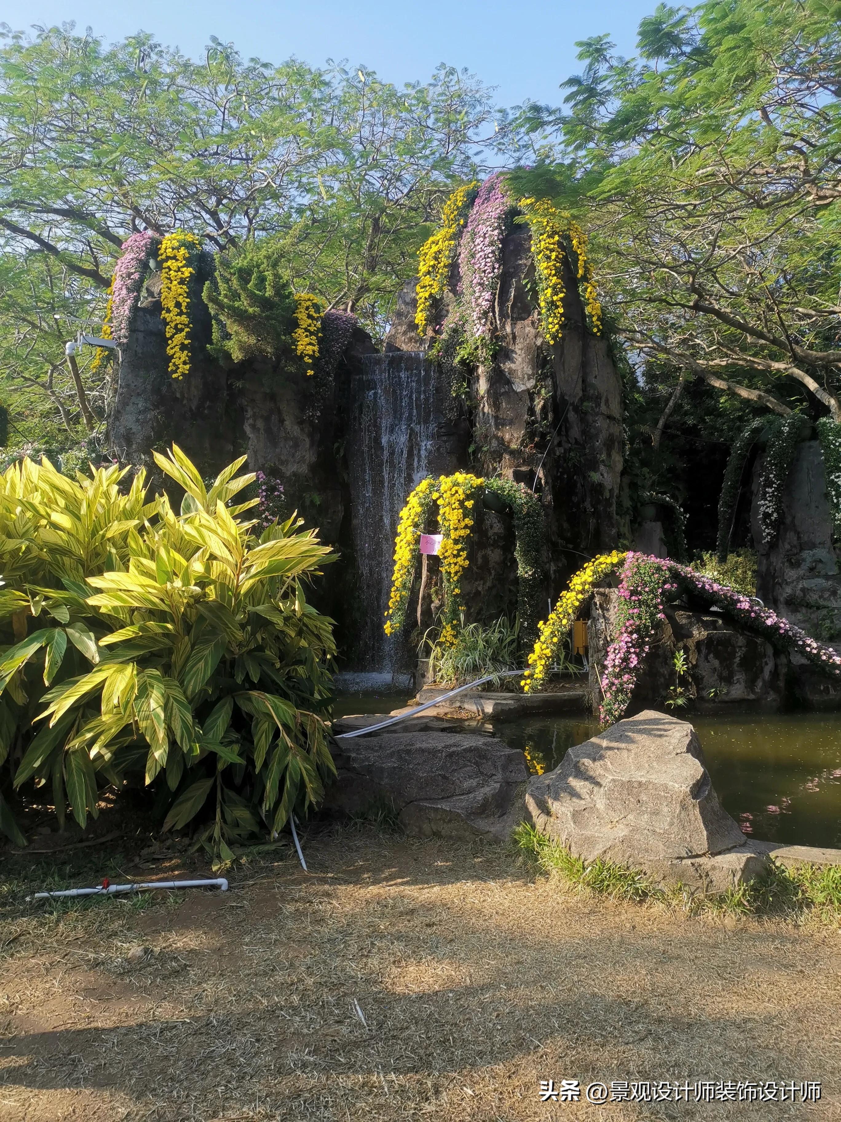 深圳市东湖公园广场舞,深圳市东湖公园收费标准