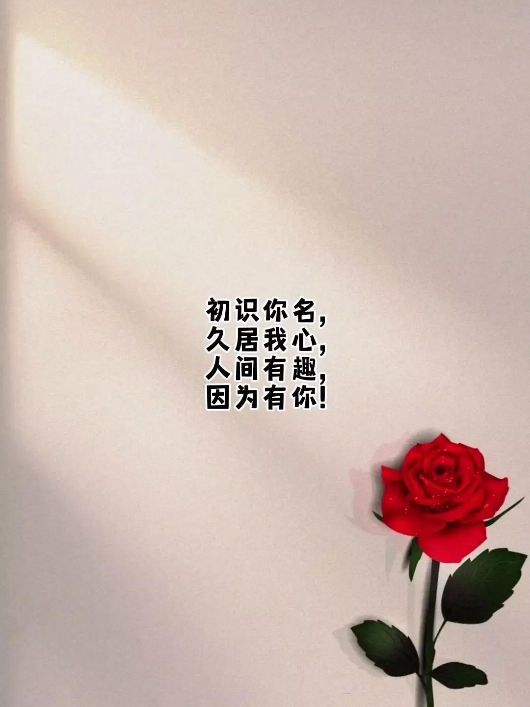 爱情表白文案高级有深度,最让人拒绝的表白文案图片