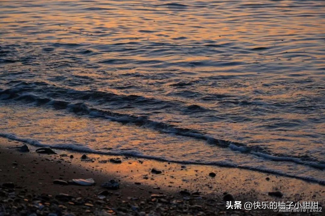海边自助烧烤打卡地,海边烧烤自由行