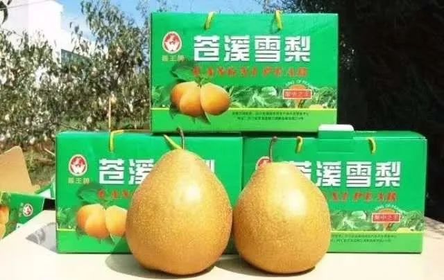 到四川广元有什么特产买,返程带回来的老家特产