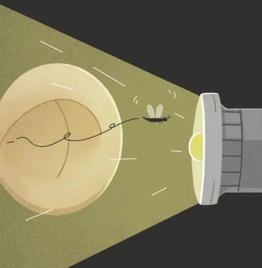 小孩掏耳朵要注意什么事情,宝宝耳朵进水后总是用手掏耳朵