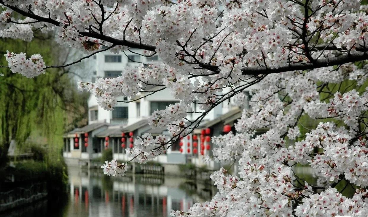 中国园林看江南江南园林看苏州,苏州园林江南园林甲天下